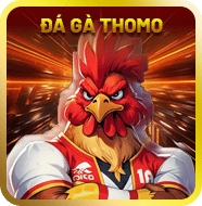 Sảnh đá gà Thomo